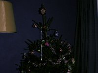 Christmas Tree Foxcombe Drive Tilehurst